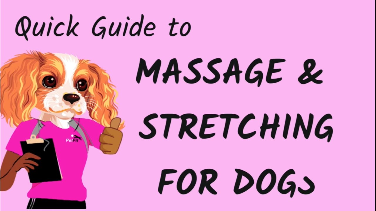 Quick Guide To Massage And Stretching For Dogs YouTube quick-guide-to-massage-and-stretching-for-dogs-youtube