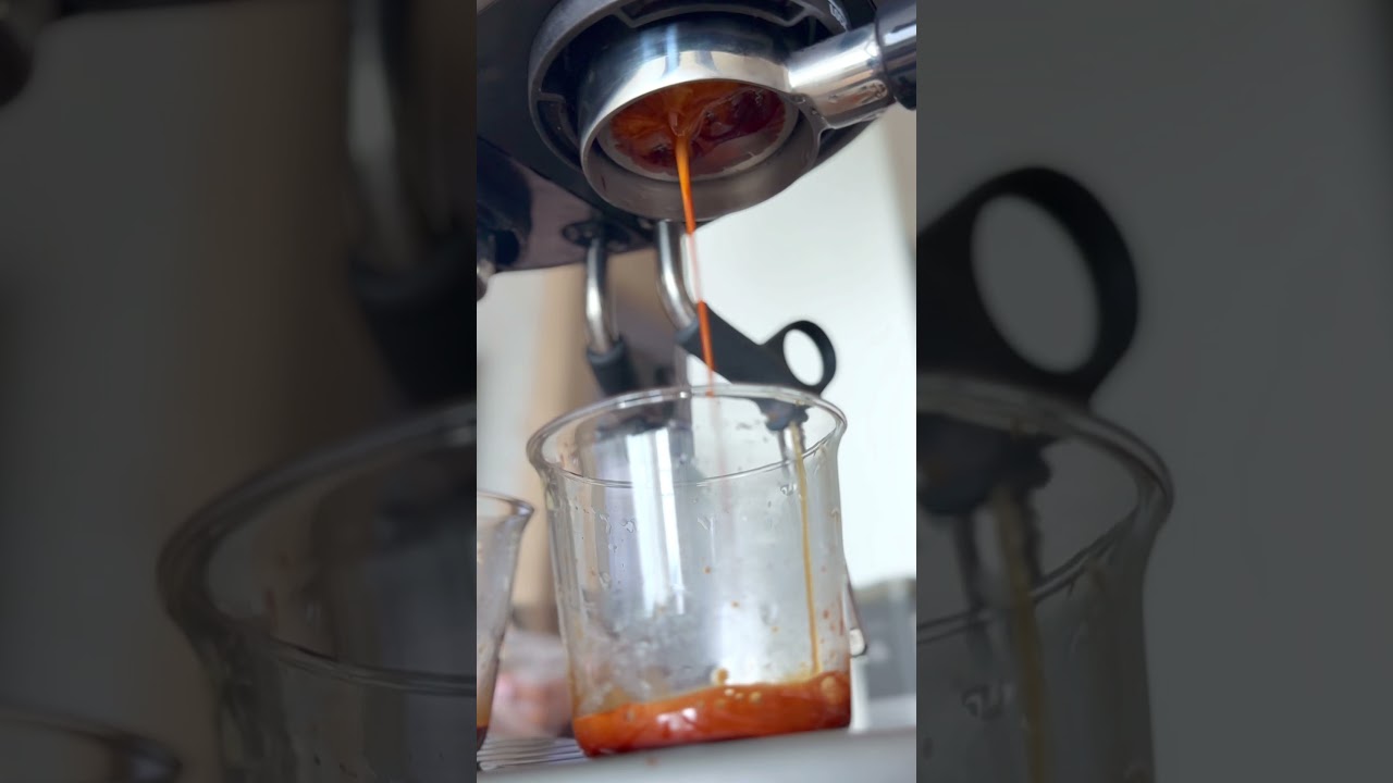 브레빌 밤비노 미니 BES450, 바텀리스 - 약배전은 난 어려워..