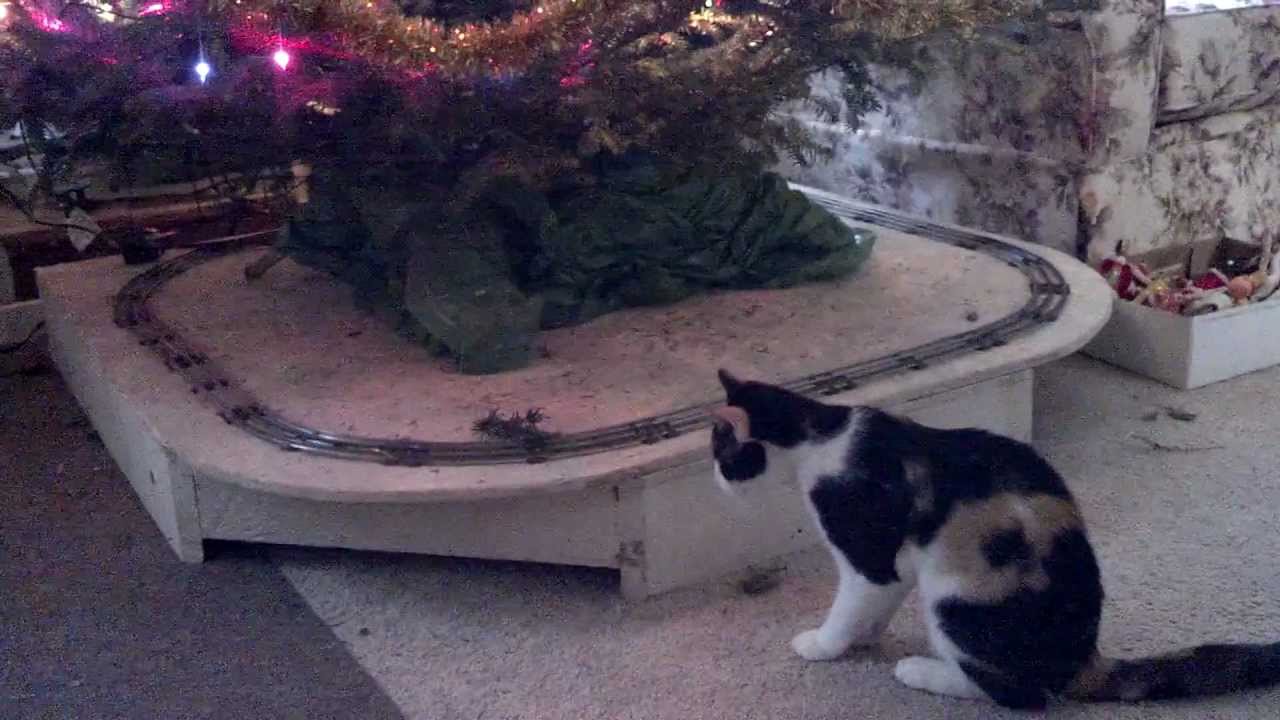 how to keep a cat away from a christmas tree youtube how to keep a cat away from christmas tree