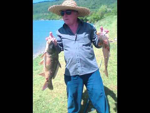 ეძღვნება მერაბი ჯიქია ხსოვნას...