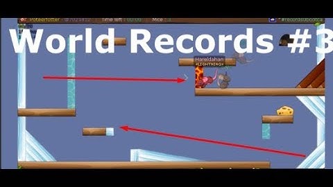 Transformice - World Records #3