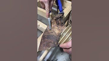 Removing bark from Claro walnut.👍😎