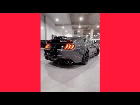 SHELBY GT500 EXHAUST #shorts