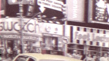 The Misfits Birds - Lullaby