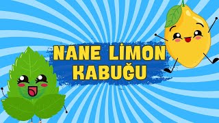 Barış Manço - Nane Limon Kabuğu