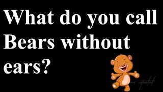 Pun Intended Bear Joke