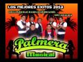 PALMERA MUSICAL QUE LEVANTEN LAS MANOS LOS BORRACHOS