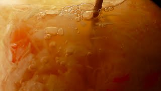 Sauerkraut 7 days timelapse / how to make fermented cabbage / cooking ASMR