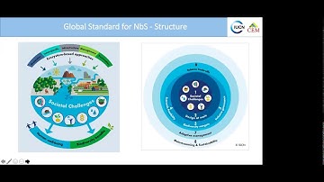 2nd CEM Dialogue - Global Standard for Nature-based Solutions