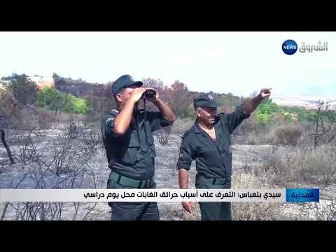سيدي بلعباس التعرف على أسباب حرائق الغابات محل يوم دراسي