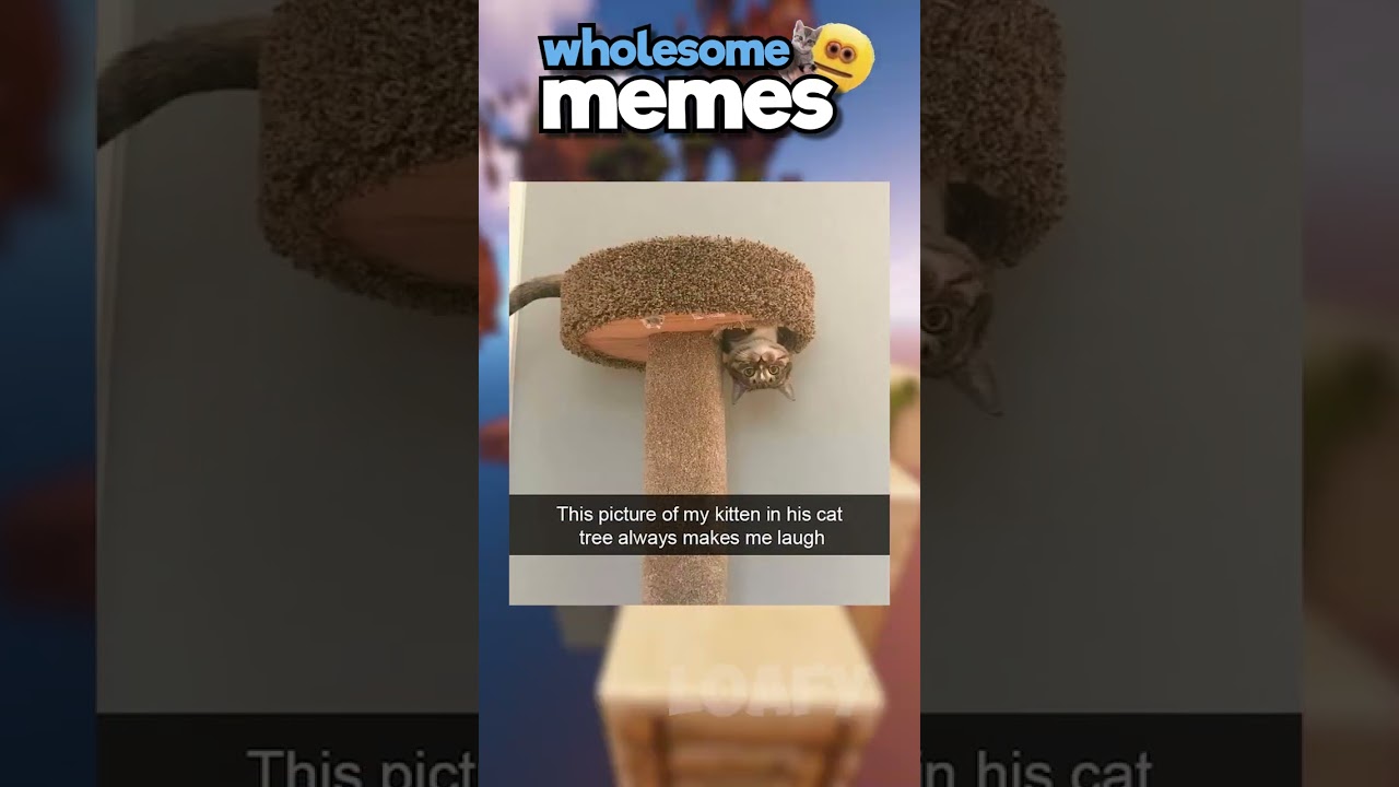 Extremely Wholesome Memes 🥰 