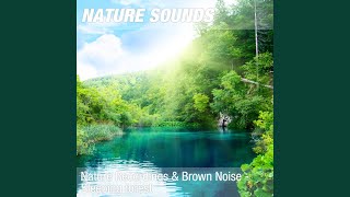 Nature Sounds Accords