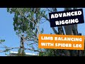 Spider leg rigging | Tree rigging techniques