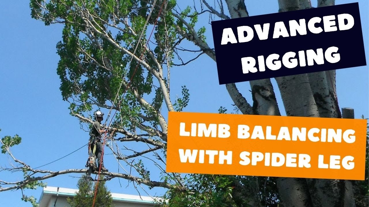 Spider leg rigging  Tree rigging techniques 