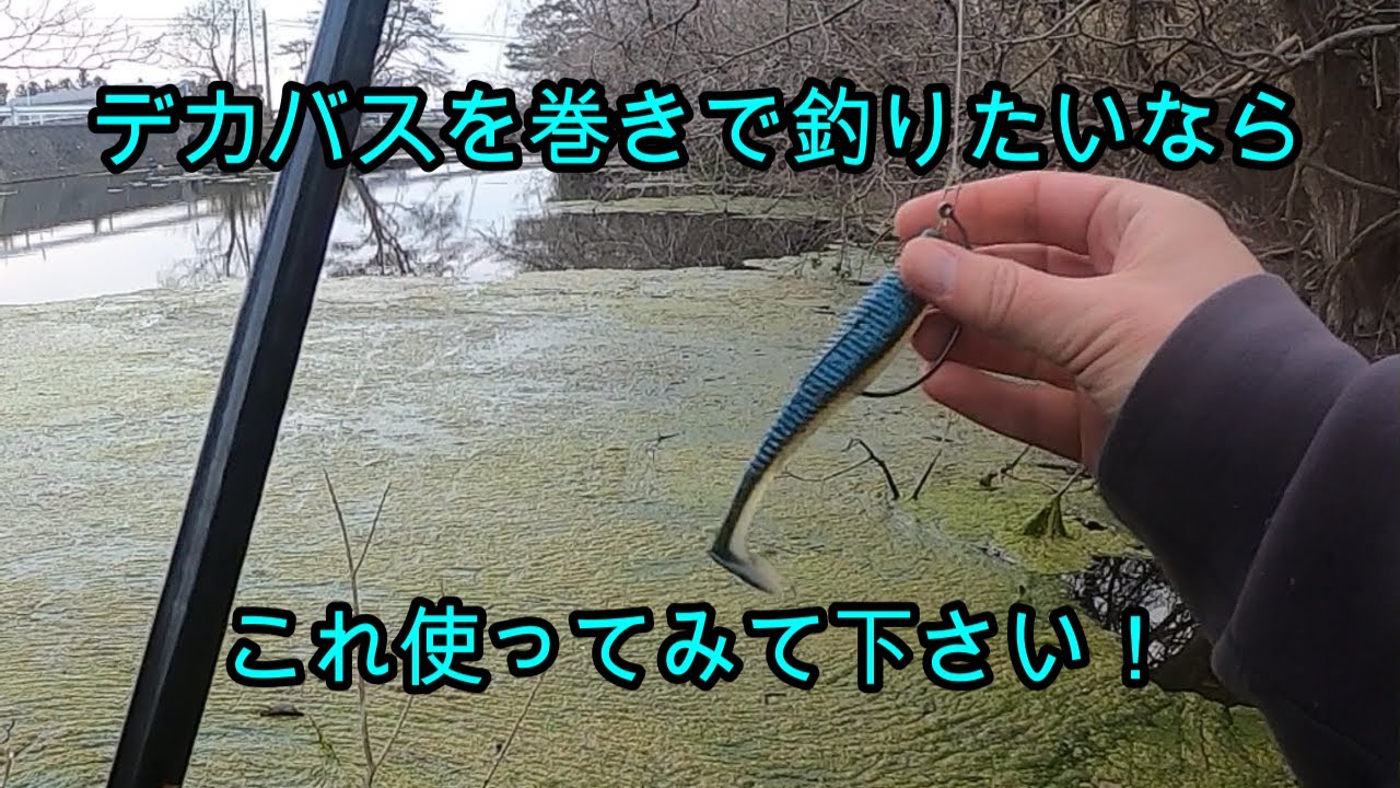 【バス釣り】春定番の巻物！