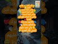 ناس بكري قالوا والحق باقي يتقال قالوا ناس زمان كلام من ذهب درر الكلام ناس زمان خير ينتشر