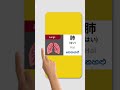 ශරීර කොටස් ජපන් බසින් #japan #japanesegrammar #minnanonihongolistening #fyp #japansinhala #n5grammar