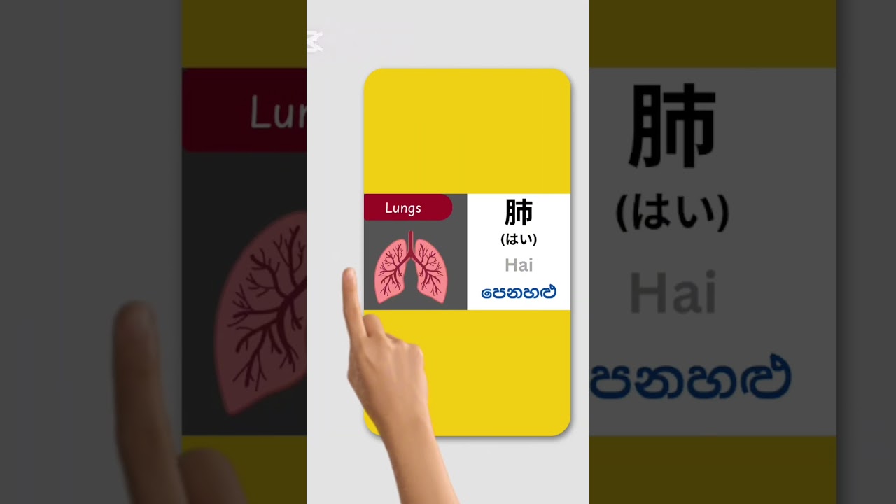 ශරීර කොටස් ජපන් බසින් #japan #japanesegrammar #minnanonihongolistening #fyp #japansinhala #n5grammar