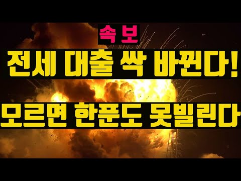 [속보] <strong>전세자금대출</strong> 싹 바뀝니다! 아예 못빌릴 수도 있습니다. 갱신 대출 가능 금액도 축소 됩니다. 꼭 보세요.