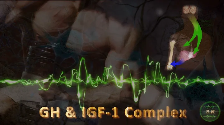 GH & IGF-1 Complex - Muscle & Bone Growth, Recovery, Regeneration thumbnail