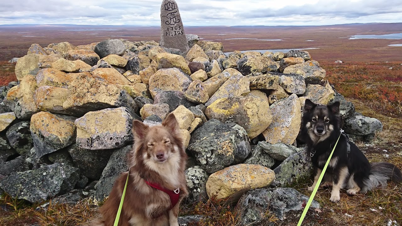 Märkä reissu pöyrisjärven erämaassa - YouTube