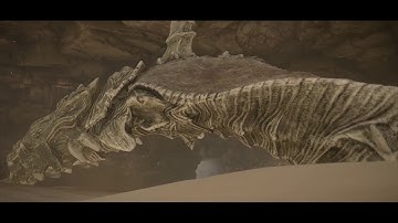 Shadow of the Colossus PS4 Remake - Hard Time Attack Walkthrough - Colossus #10 (Dirge)