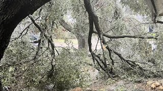 Austin, Travis County authorities give update on power outages affecting thousands of people ami...