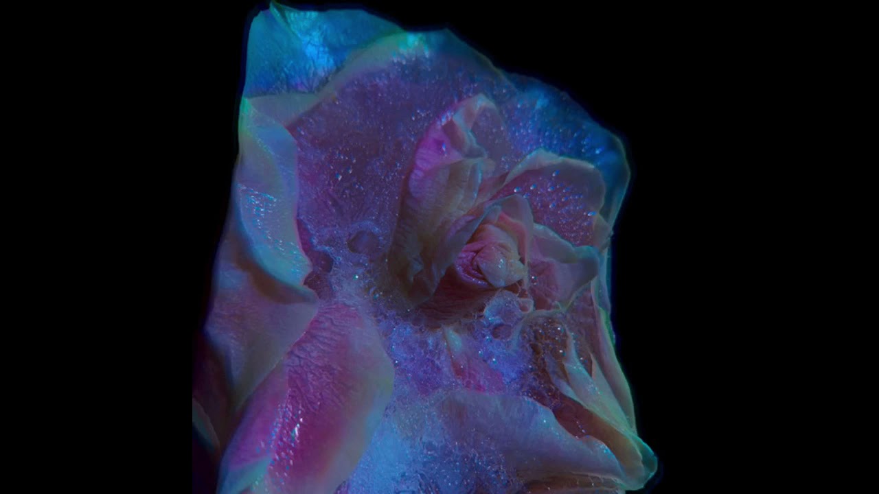 Midnight Vices - Born Invader