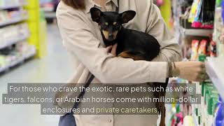 Crazy Things Only the Ultra-Rich Buy 😲💸