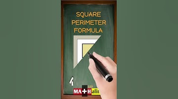 What is the Perimeter Formula of a Square? | Easy Explanation in 30 Seconds | MATHalino123