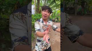 Cy Ch Du  Sinl shorts