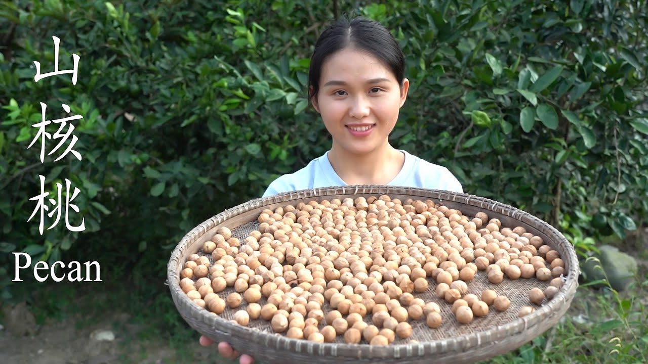 山核桃和核桃的区别 新闻22