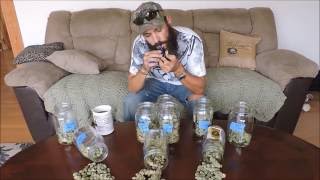 Final thoughts and Results Pro Grow X5 500