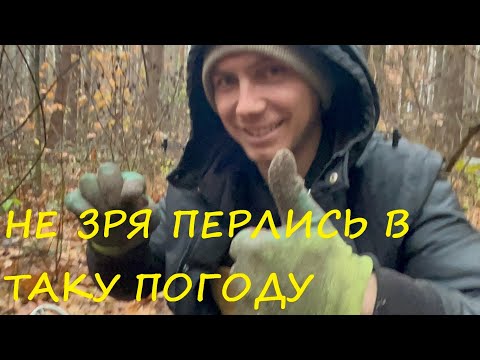 Видео: Полювання на римські динарії, точно не зря поперелись на край світа :)