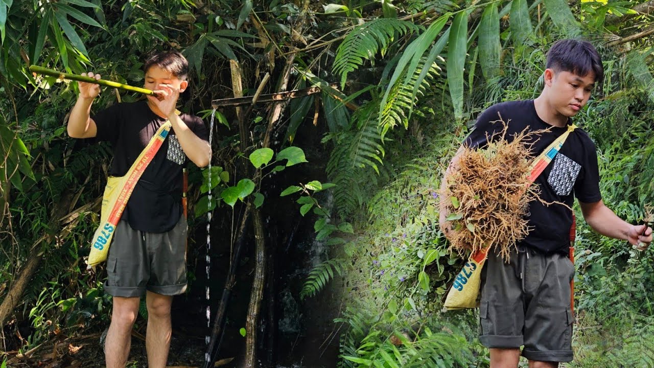 After the storm, Linh took a bamboo basket into the forest to pick mushrooms and green vegetables.