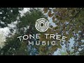 Summer acoustic compilation  tone tree music