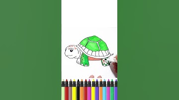 Vẽ tranh tô màu con rùa - Painting a turtle