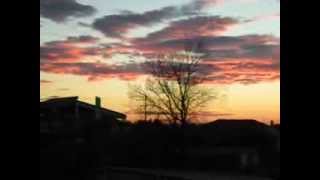 Zarkadia - Ζαρκαδιά View 2014