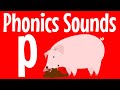 How to Say the p Sound | p Sound | The Letter p | Consonant p | Say the Sound | p | Phonics Resource