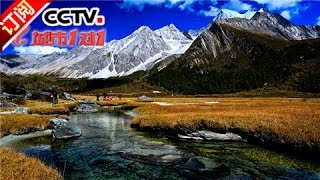 [Cities 1 on 1] 20161113 | CCTV-4