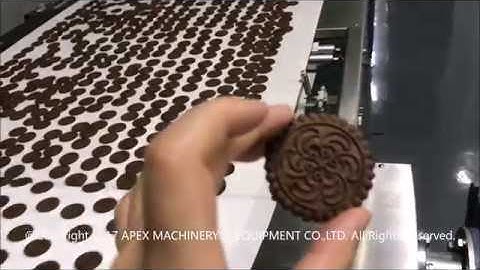 Soft Biscuit Production Line Biscuit /wafer/cookie/sandwiching Production Line -APEX MACHINERY