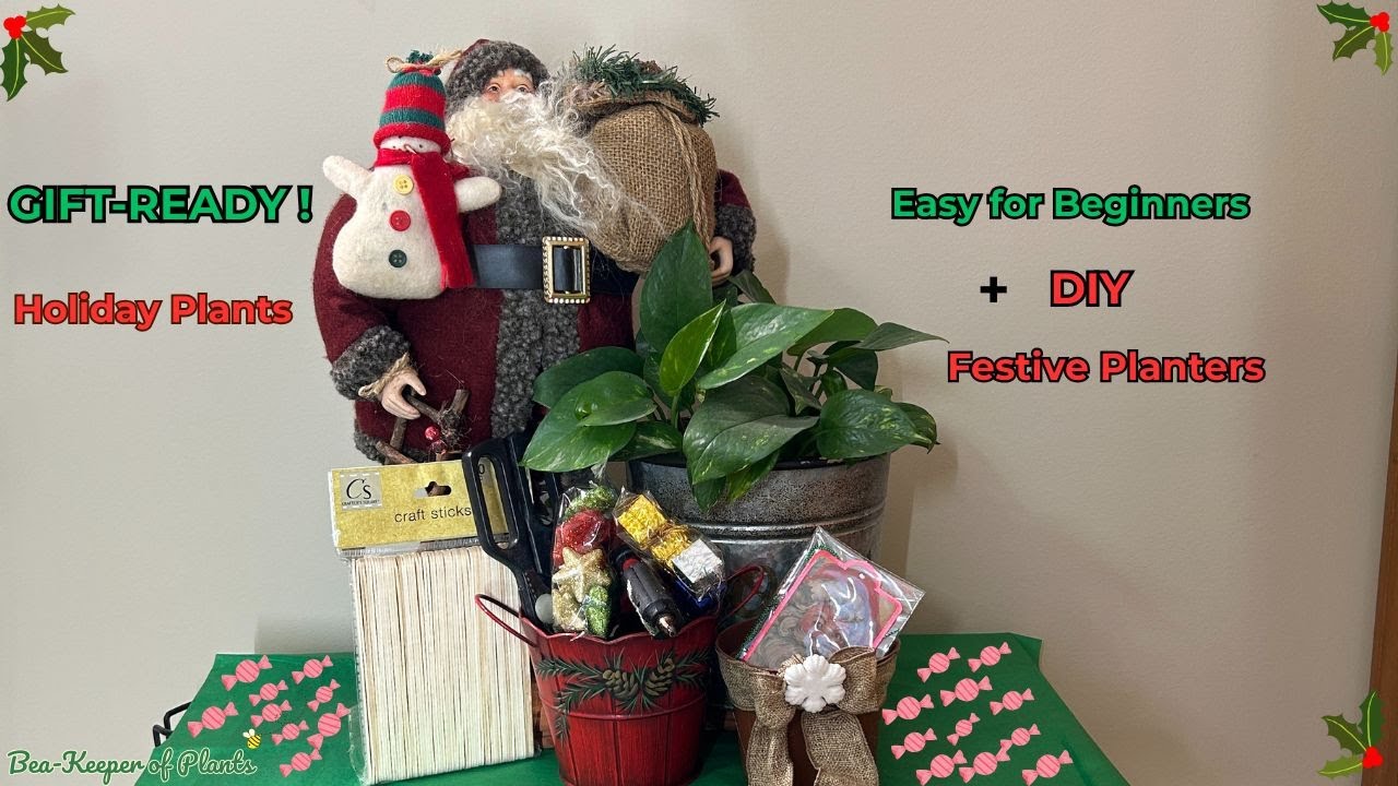 𝐇𝐨𝐥𝐢𝐝𝐚𝐲 𝐏𝐨𝐭𝐭𝐢𝐧𝐠 🪴 | 𝐄𝐚𝐬𝐲 𝐁𝐞𝐠𝐢𝐧𝐧𝐞𝐫 𝐏𝐥𝐚𝐧𝐭𝐬 𝐢𝐧 𝐅𝐞𝐬𝐭𝐢𝐯𝐞 𝐃𝐞𝐜𝐨𝐫𝐚𝐭𝐢𝐯𝐞 𝐏𝐨𝐭𝐬🎄