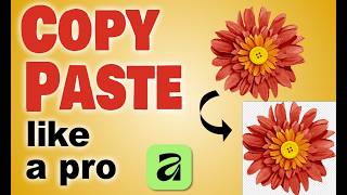How to Copy and Paste Elements Between Projects in Affinity