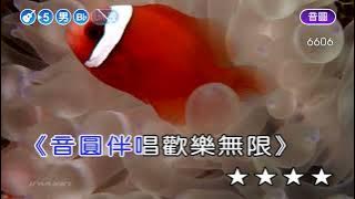 浪子的心情~葉啟田~男Bb調~伴奏~導唱3顆丙