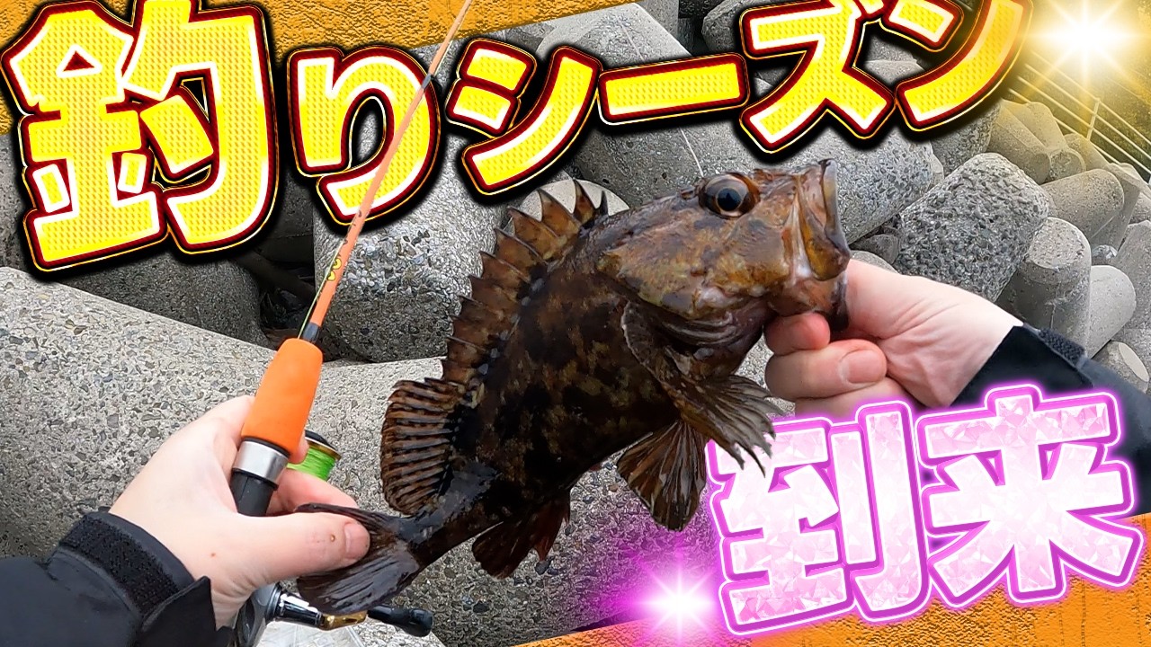 さかな Fishing Season is Here!] Spring is almost here! This year's first