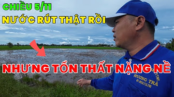 Chiều 5 tháng 11 Nước lũ đã rút thật rồi nhưng để lại tổn thất cho bà con rất nặng nề BD84Vlog