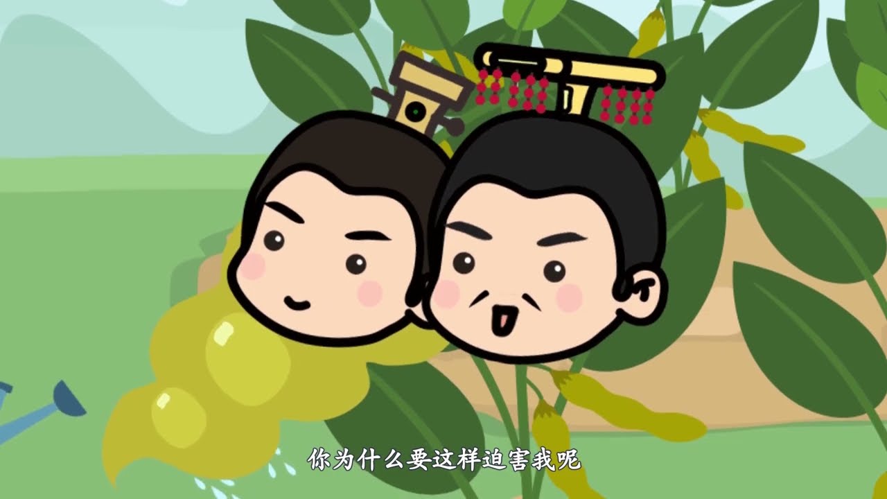 熊猫天天学诗词 85《七步诗》曹植