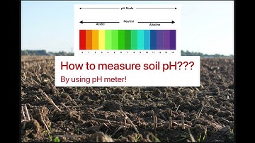 How to measure soil pH by using pH meter???