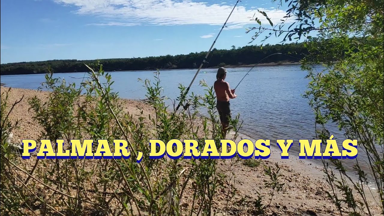 Pesca en Palmar y agricultura en Pesca en agua dulce