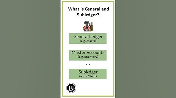 DIFFERENCE Between General Ledger and Subledger Accounts #shorts